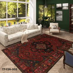 Premium Quality Kashmiri Wool Carpet TT-C26-005